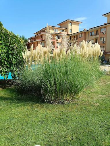 Magic Dreams Apartments Święty Włas Zewnętrze zdjęcie